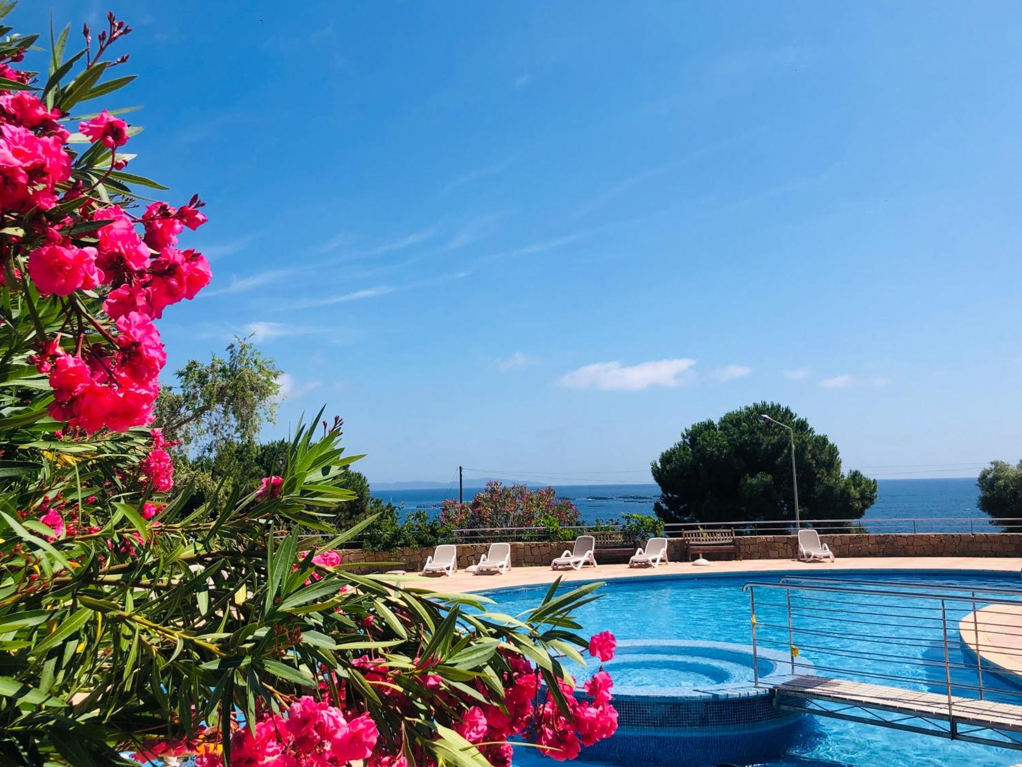 Superbe T2 Vue Mer - Piscine & Plage A 100M Аячо Екстериор снимка